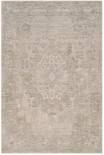Load image into Gallery viewer, Beige area rug with subtle pattern on a white background
