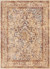 Load image into Gallery viewer, Area Rugs - Taza TAZ02 Heriz Beige